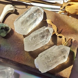 May include: Three clear quartz crystal points are arranged on a vintage book with a dried flower and bone fragment. The crystals are faceted and translucent, reflecting light. The overall aesthetic is natural and earthy.
