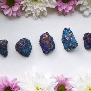 May include: Five iridescent pyrite stones in shades of blue, purple, and gold. The stones are arranged in a row against a white background, framed by pink and white flowers.