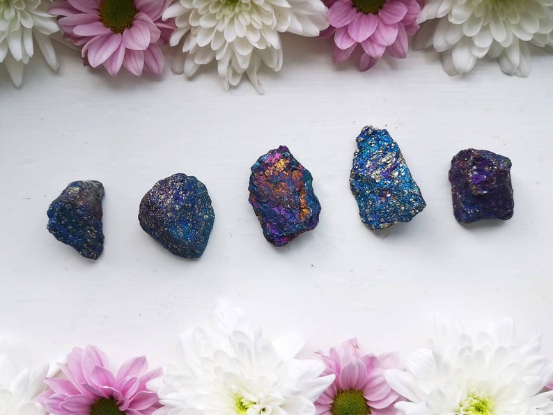 May include: Five iridescent pyrite stones in shades of blue, purple, and gold. The stones are arranged in a row against a white background, framed by pink and white flowers.