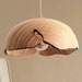 see more listings in the Pendant light section