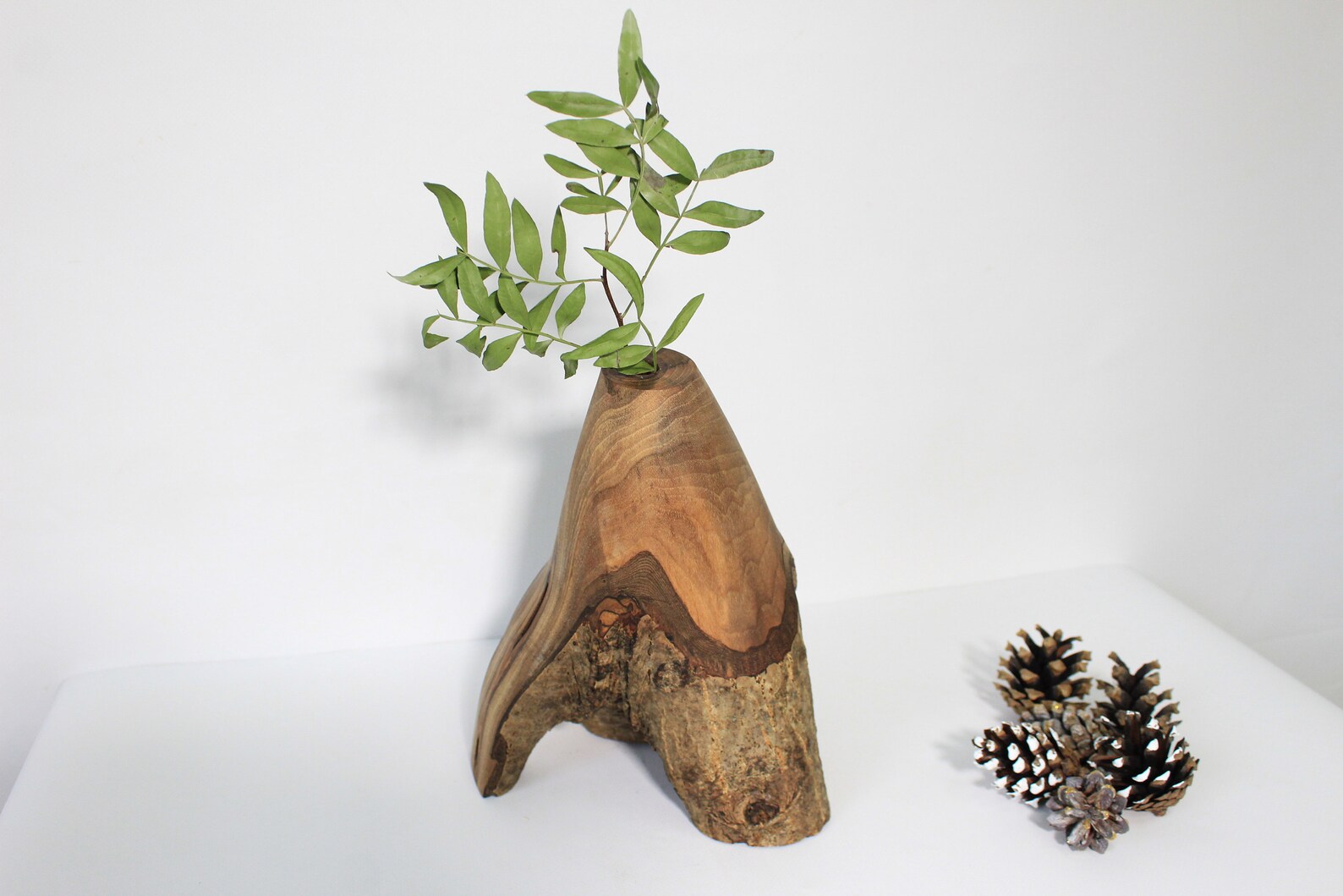 Tall Wood Vase Natural Wood Vase Rustic Coffee Table Decor Etsy Hong Kong