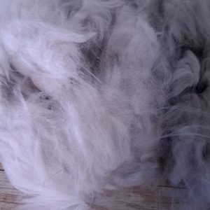 English Angora Fiber, raw angora fiber, angora rabbit fiber, raw fiber, soft angora fiber,  angora rabbit wool, luxury angora fiber