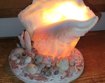 Vintage Kitschy Shabby Chic Shell Conch Lamp Nightlight with Chalkware Base - Rewired and Working