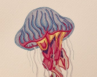 Nature illustration "Jellyfish"