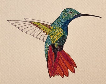 Nature illustration "Hummingbird"