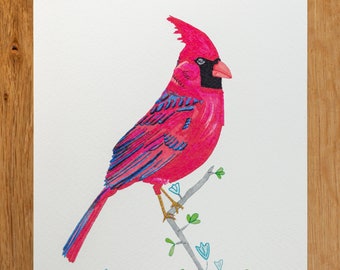 Nature illustration "Cardinal bird" Cardinalis cardinalis