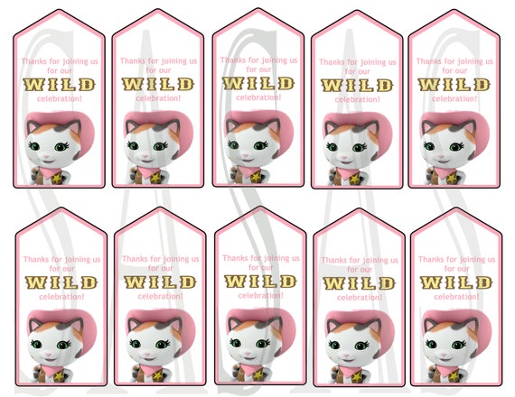 Sheriff Callie S Wild West Birthday Party Decorations Gift Etsy