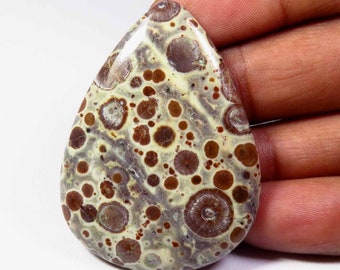 Asteroid Jasper Gemstone Cabochon Oval Shape 22 x 42 x 5 mm Natural Asteroid Jasper Cabochon Jewelry Making Flat back Gemstone #3637