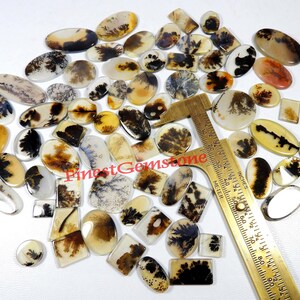 Schilderachtige dendritische kwartscabochon. Echte Shazar dendriet-edelsteen. Tree Designer Shajar dendritische cabochon. Groothandel Scenic Kavel 18 tot 25 mm