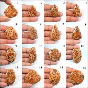 Incrível~ Pedra preciosa de jaspe asteroide. Cabochão de jaspe asteroide. Jaspe asteroide natural. Jaspe asteroide de formato misto para joias. Variação