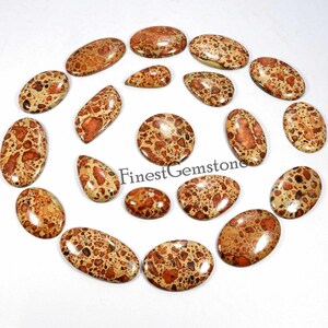 L'astéroïde Jasper. Pierre précieuse naturelle de jaspe astéroïde AAA+. Astéroïde Jasper Cabochon. Mélange de forme jaspe astéroïde 250 cts. Lot de 5 pièces en gros