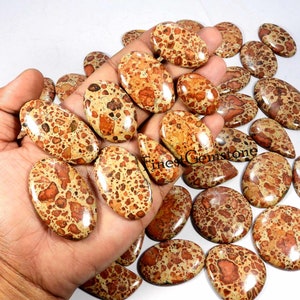 Pierre précieuse de jaspe astéroïde. Cabochon en jaspe astéroïde naturel. Génial ! L'astéroïde Jasper. Lot de 10 mélanges en gros, forme de jaspe astéroïde 500 Cts