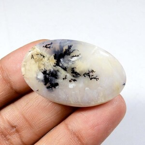 Affascinante! Agata dendrite di tigre. Cabochon di dendrite di tigre naturale. Gemma di dendrite di tigre gialla. Dendrite di tigre ovale 38 x 24 mm sciolta. KB-9359