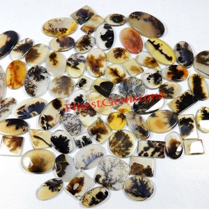 Shazar dendriet edelsteen. Ontwerper boom! Shazar dendrietagaat cabochon. Shajar dendritische kwarts schilderachtige cabochon. Groothandelpartij: 1 tot 100 stuks