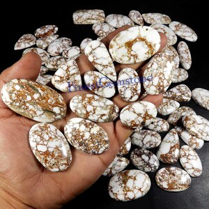 Magnesit Cabochon Edelstein. Natürliches Wildes Pferd Jaspis Edelstein. 14 Stück 500 Cts Weiß Braun Wildes Pferd Jaspis Cabochon Großhandel Lot Jaspis