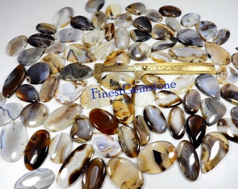 Natural Yellow Montana Agate Gemstone Cabochon For Jewelry Making Stones 15Pcs Bulk Lot 500Cts