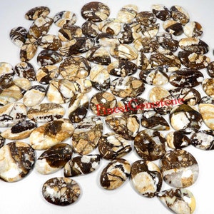 Wildes Pferd Jaspis Cabochon. Spitze!! Grosshandel Lot Wildpferd Jaspis. Natürliche Braun Wilde Pferd Jaspis Edelstein. Mix Form Jaspis. 1 zu 115 Stück
