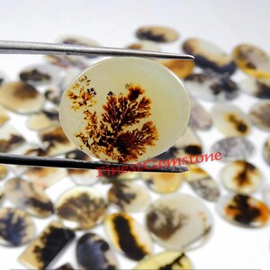 Leaf Designer Shazar dendriet edelsteen. Shazar dendritische kwarts cabochon. Schilderachtige dendritische agaatcabochon. Shajar-groothandel: 10 tot 15 mm
