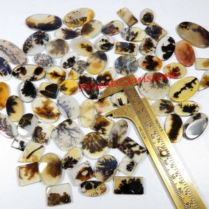 Schilderachtige dendritische cabochon. Shazar dendritische kwarts cabochon. Shajar dendriet-agaat edelsteen. Tree Designer Shazar Groothandel Lot van 14 tot 20 mm.
