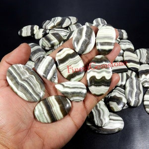 Lot en gros de jaspe zébré. Cabochon en jaspe zébré. Pierres précieuses naturelles de jaspe zébré à rayures blanches et grises. 6 pcs 250 Cts Mix Shape Jaspe Guérison