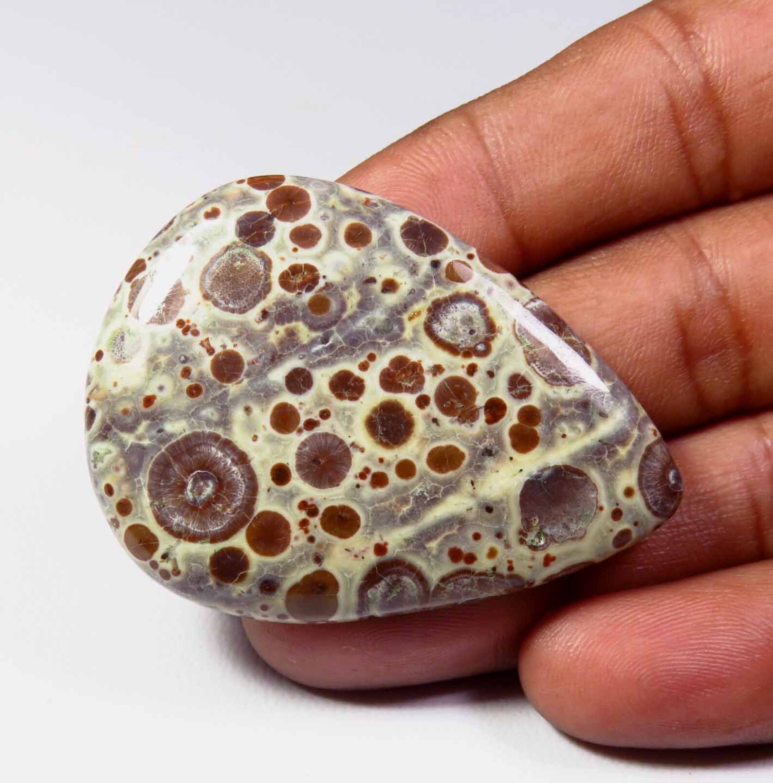 LOVELY Asteroid Jasper Gemstone. Natural Asteroid Jasper Etsy