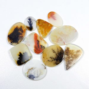 Shazar dendriet-agaat edelsteen. Schilderachtige dendritische agaatcabochon. Shazar-agaat. 10 stuks groothandel natuurlijke shazar dendriet cabochon KB-8493