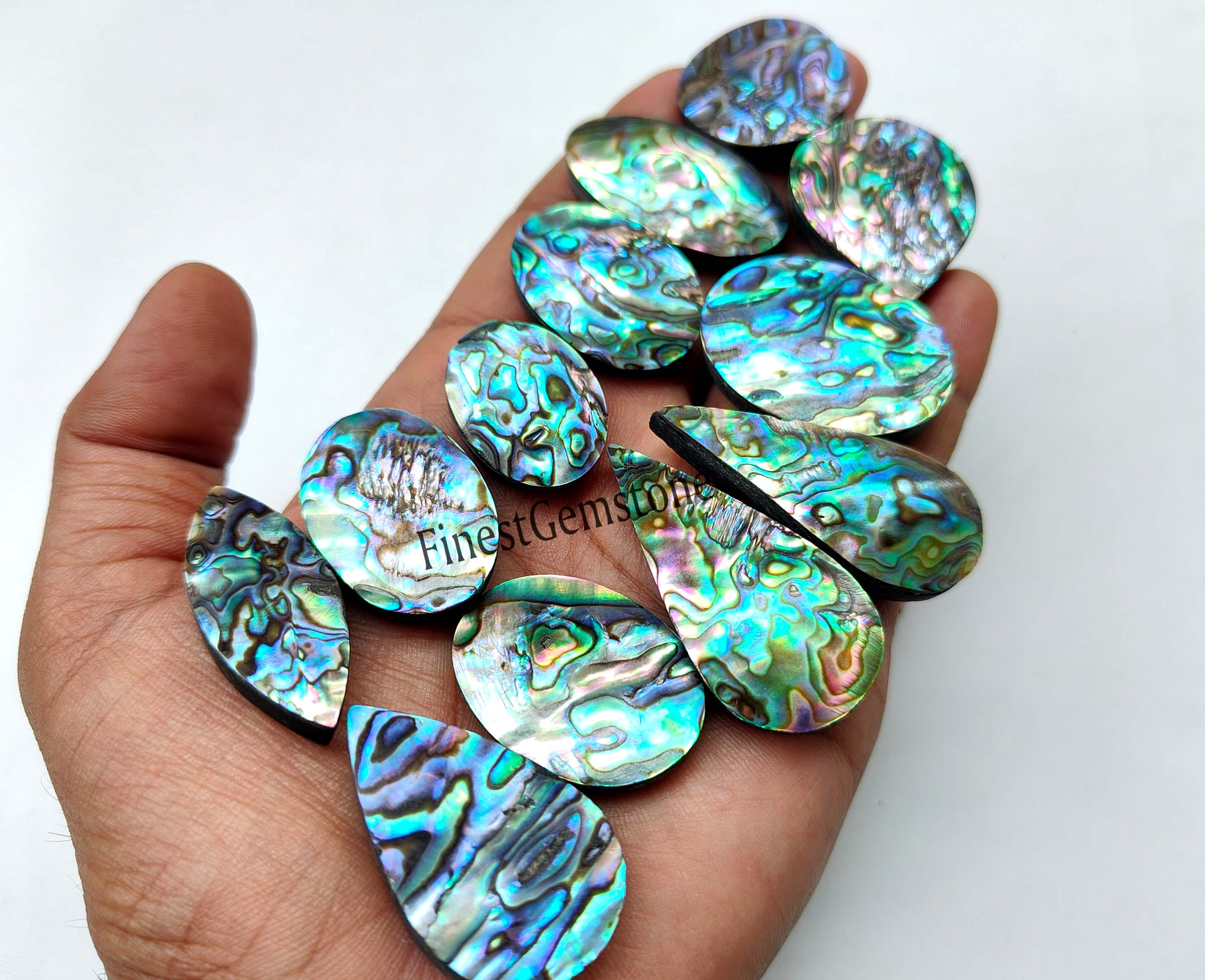自然工芸の貝殻 - Etsy 日本