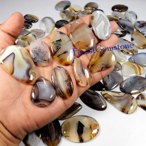 Pierre précieuse d'agate du Montana jaune. Cabochon en agate du Montana. Lot de 7 agates du Montana naturelles, mélange de formes curatives en agate du Montana. 250 carats.