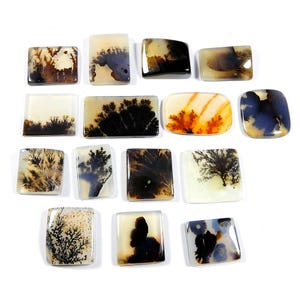 Shazar dendriet-agaat edelsteen. Natuurlijke schilderachtige dendritische cabochon. Groothandel kavel van 15 stuks Shazar dendriet rechthoek los 69 kt KB-11003