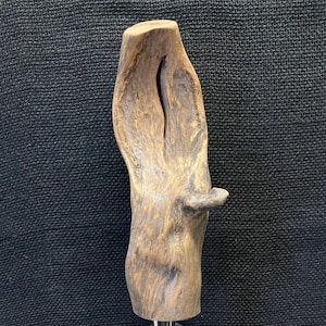 May include: A wooden beer tap handle with a natural, rustic finish. The handle is shaped like a twisted branch and has a dark brown color with lighter brown streaks. The tap handle is attached to a chrome tap.