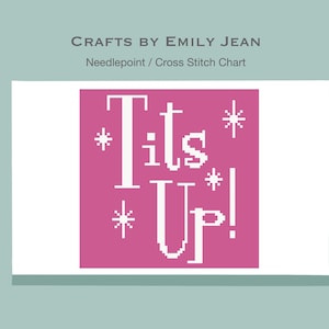May include: A pink cross stitch pattern with the text "Tits Up!" in white with white stars around the text.