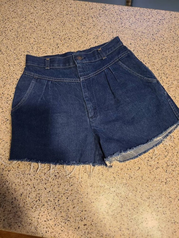 Levis Vintage SZ 12 Cutoff Shorts 1970s brown lab… - image 1