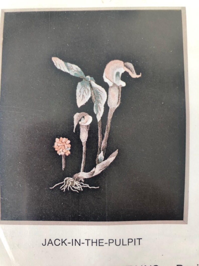 Kay Hall Needlework Design Jack in the Pulpit Embroidery Crewel Kit Woodland Design