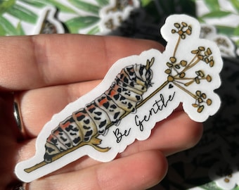 Black Swallowtail Butterfly Caterpillar on Flower Vinyl Sticker