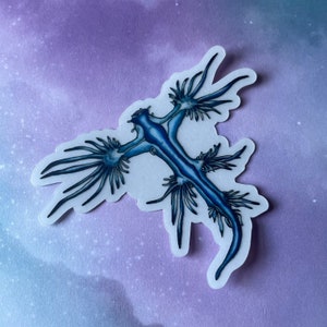 Blue Dragon Sea Slug Sticker | Marine Wildlife | Nudibranch | Unique Animals | Clear Vinyl Stickers