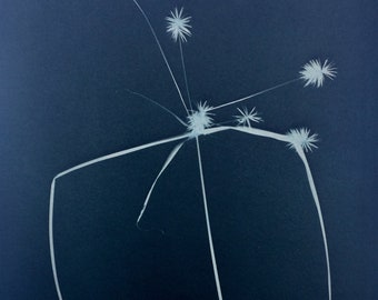 Nutsedge Cyanotype Print, Tea Toned