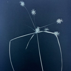 Nutsedge Cyanotype Print, Tea Toned
