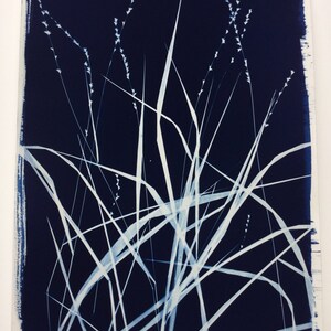 Wild Grass, Cyanotype print, blueprint, sunprint, Seedhead, blue grass, nature print, southern art, Grass Print, botanical art, modern plant