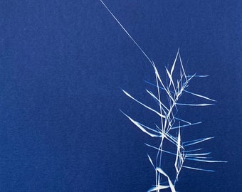 Wild Grass Minimalist Cyanotype Art Print