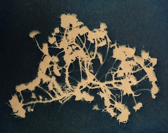 Usnea Lichen, Old Man's Beard Tea Toned Cyanotype Print