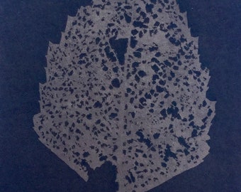 Skeleton Leaf Tea Toned Cyanotype Print
