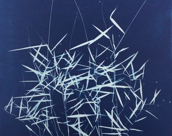 Grass Cyanotype Sunprint Photogram Botanical Print