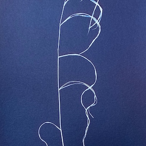 Wild Grass Cyanotype Art Print