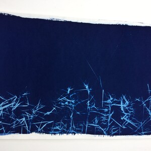 Wild Grass, Cyanotype print, nature art, abstract nature art, botanical art, sunprint, blue grass, modern botanical art, Grass photo