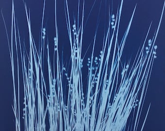 Rush Modern Cyanotype Botanical Art