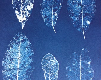 Skeletonized Leaf Graphic Botanical Cyanotype Art Print