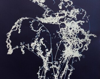 Dead Ferns Blue Cyanotype Botanical Print