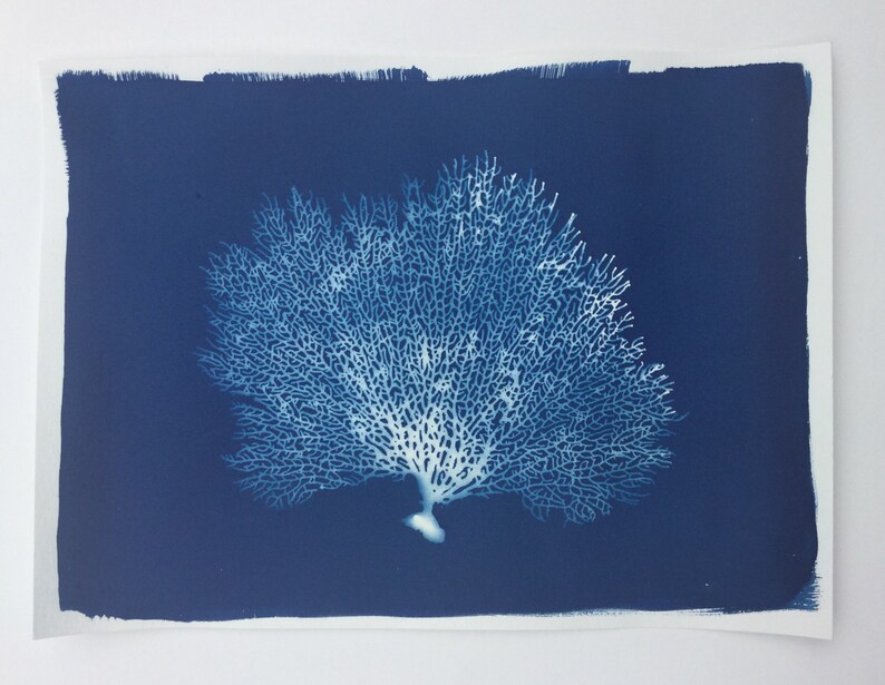 Fan Coral Art Print, Blue Coral, Sea Fan, Sea Fan Coral, Blue Coral