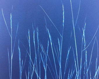 Graphic Modern Blue Grass Cyanotype Art Print