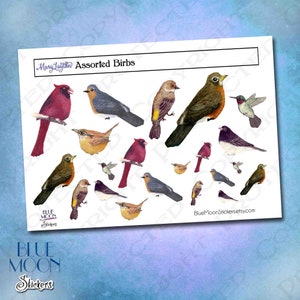 Könnte beinhalten: Eine Bogen mit verschiedenen Vogelaufklebern, die verschiedene Arten zeigen, darunter Kardinäle, Rotkehlchen, Kolibris und Spatzen. Die Aufkleber sind auf weißem Papier mit einem blauen Mond-Aufkleberlogo in der linken unteren Ecke gedruckt. Der Text "Mary Layton Assorted Birds" ist oben auf dem Bogen gedruckt.